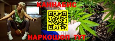 сатива Новодвинск