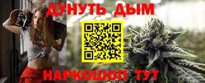 сатива Новодвинск