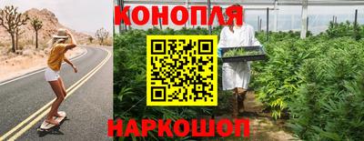 сатива Новодвинск