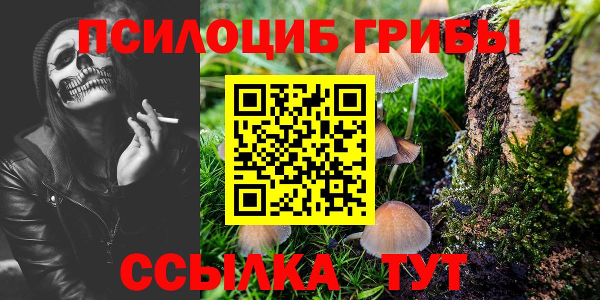 Троицк  Псилоцибиновые грибы Magic Shrooms  Вход с VPN 