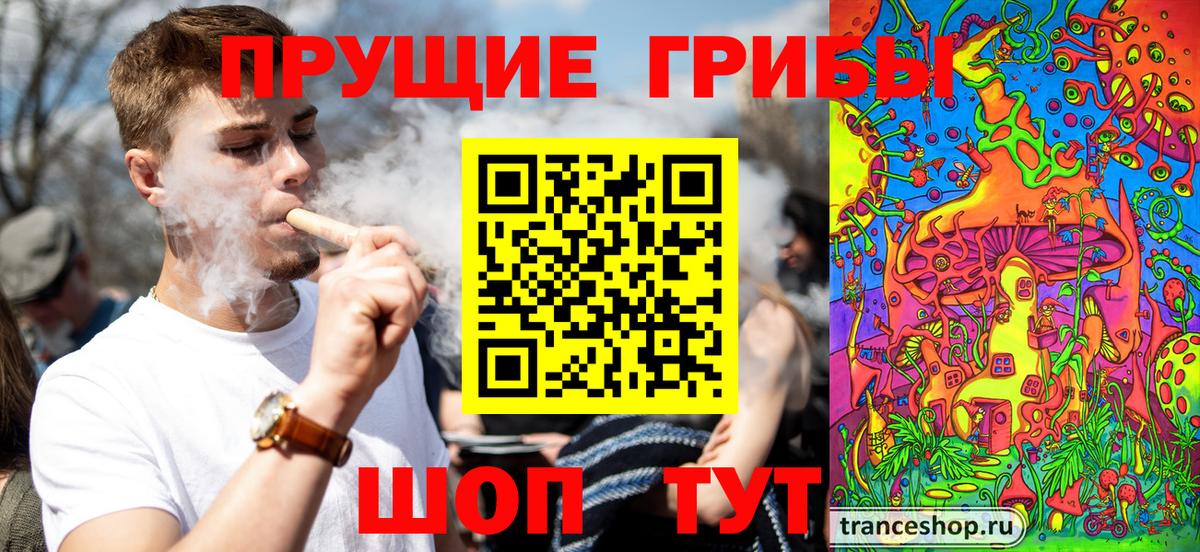 Псилоцибиновые грибы мицелий Троицк